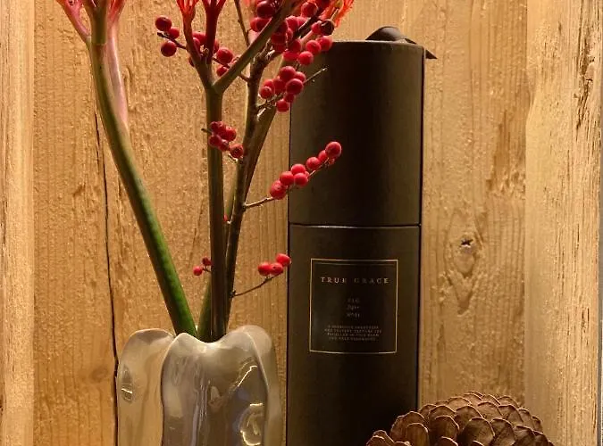 New, Luxurious And Art Penthouse Alpehytte *